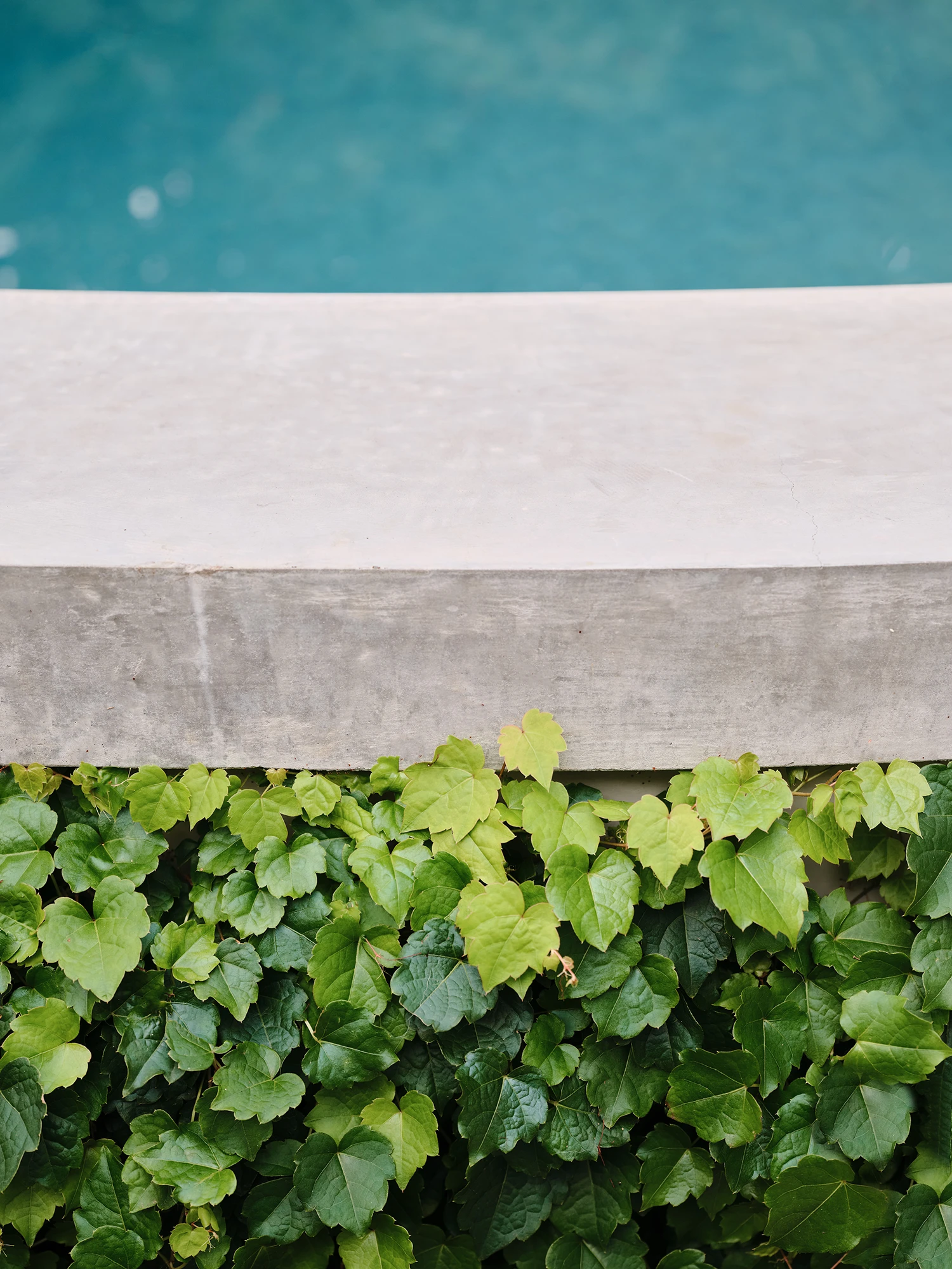 WaterviewPools_250328_MylesBaldwin_Fairview_128